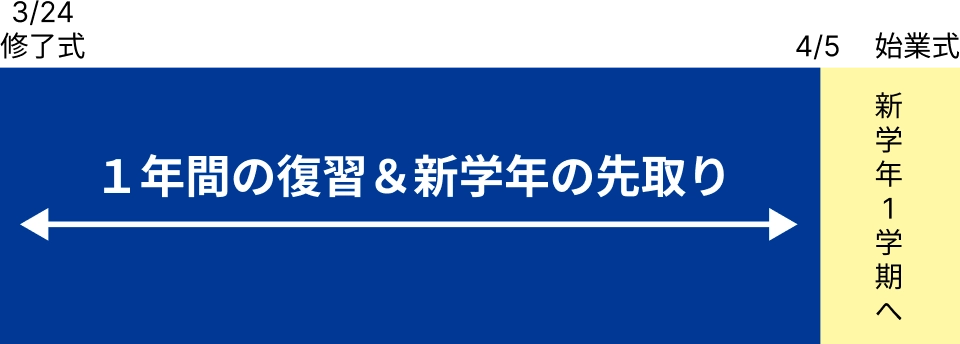 全体スケジュール